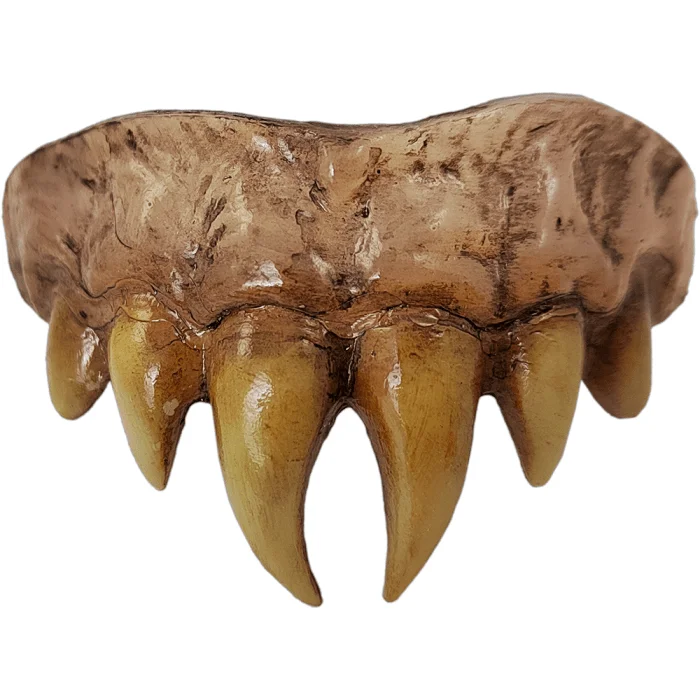 Cotton blend – Mix of cotton and synthetic fabrics for softness and durabilityCotton blend – Mix of cotton and synthetic fabrics for softness and durabilityBitemares Horror Teeth - Vampire Master